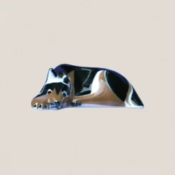 Perro Nº 2 Acostado