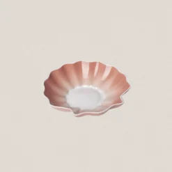 PLATO CUENCO CORAL VIEIRA